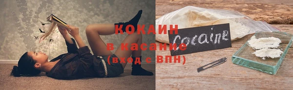 хмурый Магас