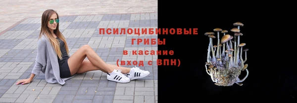 шишки Волгодонск