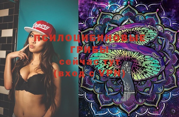 Альфа ПВП Лиски